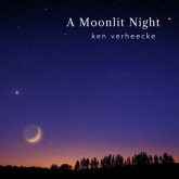 دانلود موسیقی بی کلام شب مهتابی (A Moonlit Night)