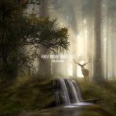 دانلود موسیقی بی کلام نجوای جنگل (Forest Whisper)