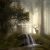 دانلود موسیقی بی کلام نجوای جنگل (Forest Whisper)