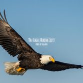 دانلود موسیقی بی کلام عقاب (The Eagle)