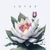 دانلود موسیقی بی کلام نیلوفر آبی (Lotus)