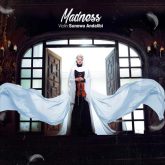 دانلود موسیقی بی کلام شیدایی (Madness)