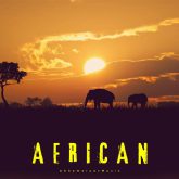 دانلود موسیقی بی کلام آفریقایی (African)