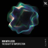 دانلود موسیقی بی کلام نقص زیبا (The Beauty of Imperfection)