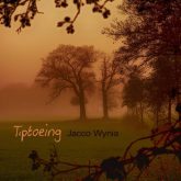 دانلود موسیقی بی کلام پاورچین (Tiptoeing)