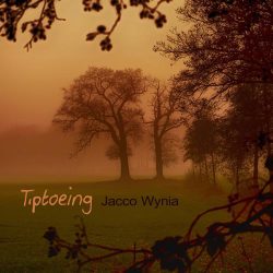دانلود موسیقی بی کلام پاورچین (Tiptoeing)
