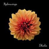 دانلود موسیقی بی کلام دالیا (Dhalia)
