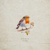 دانلود موسیقی بی کلام رابین (Robin)