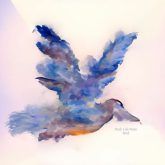 دانلود موسیقی بی کلام پرنده (Bird)