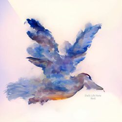 دانلود موسیقی بی کلام پرنده (Bird)