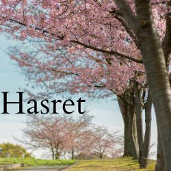دانلود موسیقی بی کلام حسرت (Hasret)