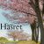 دانلود موسیقی بی کلام حسرت (Hasret)