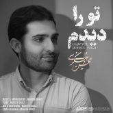 دانلود موسیقی بی کلام تو را دیدم (To Ra Didam)