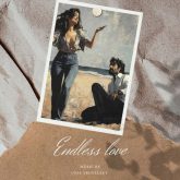 دانلود موسیقی بی کلام عشق بی پایان (Endless love)