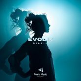 دانلود موسیقی بی کلام اوولیکس (Evolix)