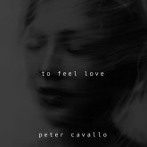 دانلود موسیقی بی کلام برای احساس عشق (To Feel Love)