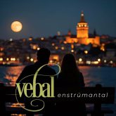 دانلود موسیقی بی کلام طاعون (Vebal)
