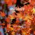 دانلود موسیقی بی کلام پاییز (Autumn)