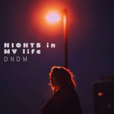 دانلود موسیقی بی کلام شبهای زندگی من (Nights in My Life)