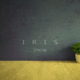 دانلود موسیقی بی کلام زنبق