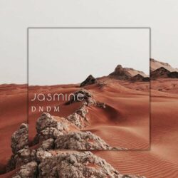 دانلود موسیقی بی کلام یاسمن