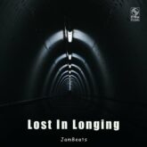 دانلود موسیقی بی کلام گمشده در حسرت (Lost In Longing)