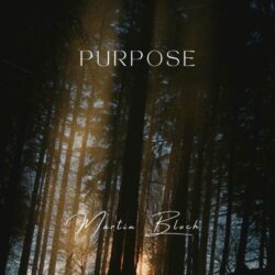 دانلود موسیقی بی کلام هدف (Purpose)