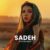 دانلود موسیقی بی کلام ساده (Sadeh)
