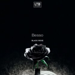 رز سیاه