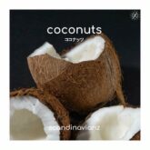 دانلود موسیقی بی کلام نارگیل (Coconuts)