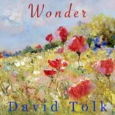 دانلود موسیقی بی کلام تعجب (Wonder)